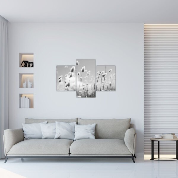 Slika - Boho trava od zečjeg repa (90x60 cm)