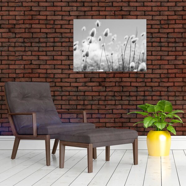 Slika - Boho trava od zečjeg repa (70x50 cm)