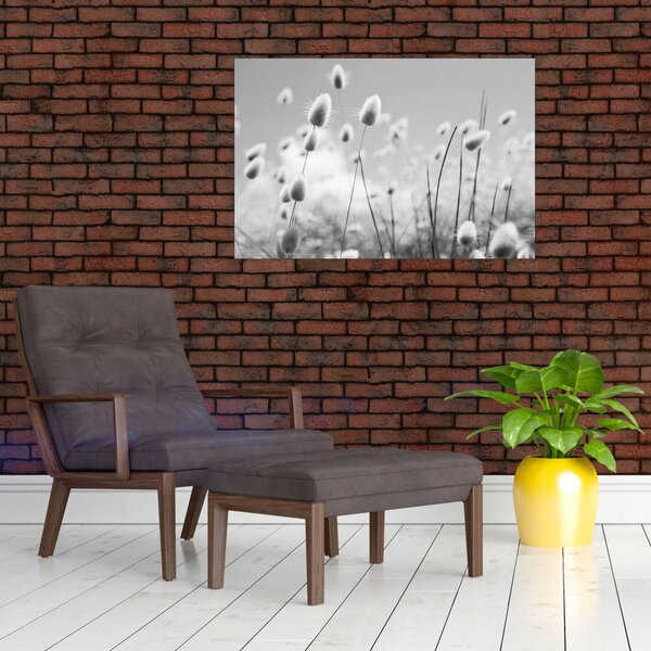 Slika - Boho trava od zečjeg repa (90x60 cm)
