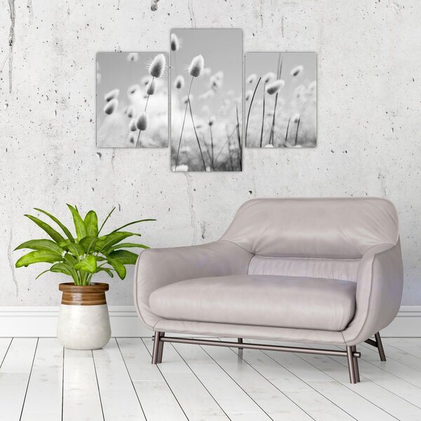 Slika - Boho trava od zečjeg repa (90x60 cm)