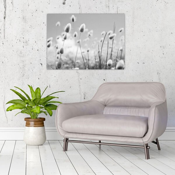 Slika - Boho trava od zečjeg repa (70x50 cm)