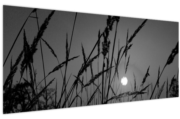 Slika - Livada sa zalaskom sunca (120x50 cm)