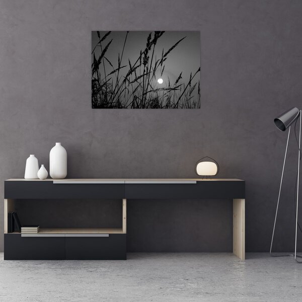 Slika - Livada sa zalaskom sunca (70x50 cm)