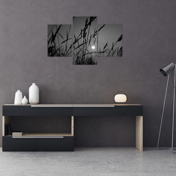 Slika - Livada sa zalaskom sunca (90x60 cm)
