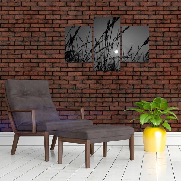 Slika - Livada sa zalaskom sunca (90x60 cm)