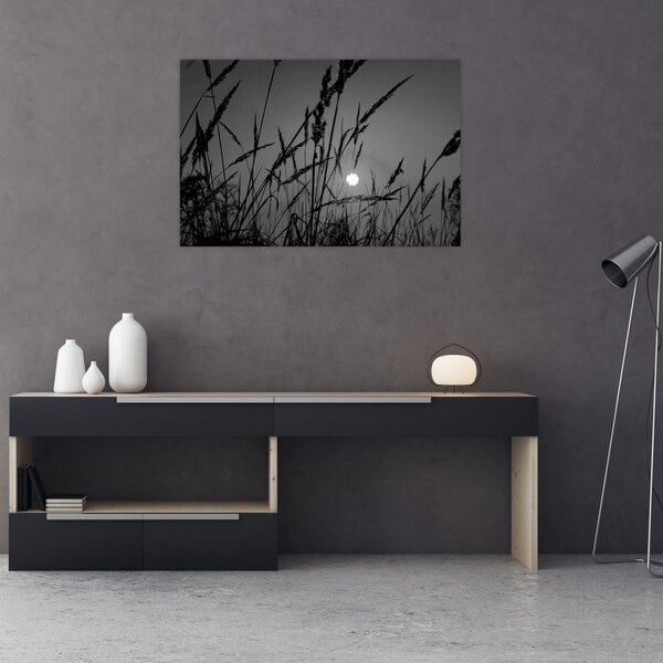 Slika - Livada sa zalaskom sunca (90x60 cm)