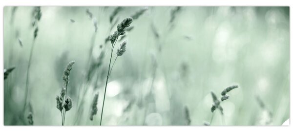 Slika - Zelena livada (120x50 cm)