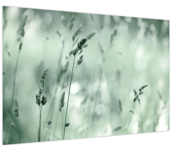 Slika - Zelena livada (90x60 cm)
