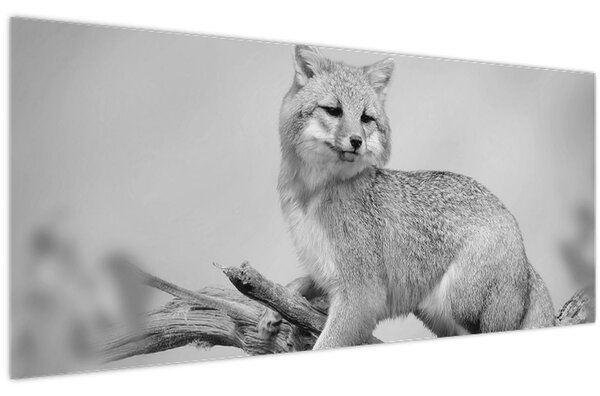 Slika - Siva lisica (120x50 cm)