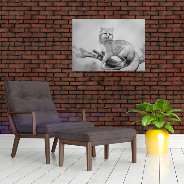 Slika - Siva lisica (70x50 cm)