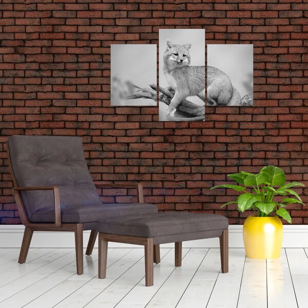 Slika - Siva lisica (90x60 cm)