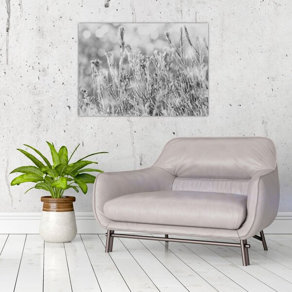 Slika - Hladna zima (70x50 cm)