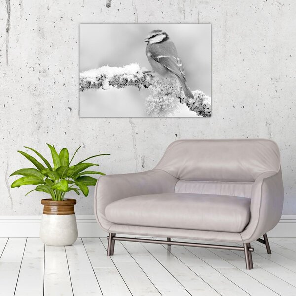 Slika - Ptica na grani (70x50 cm)