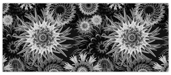 Slika - Crni i bijeli čičak (120x50 cm)