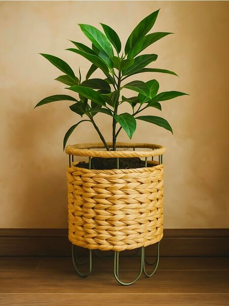 Sinsay - Pletena tegla za cvijeće