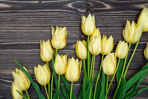 Slika čarobni žuti tulipani na drvenoj podlozi