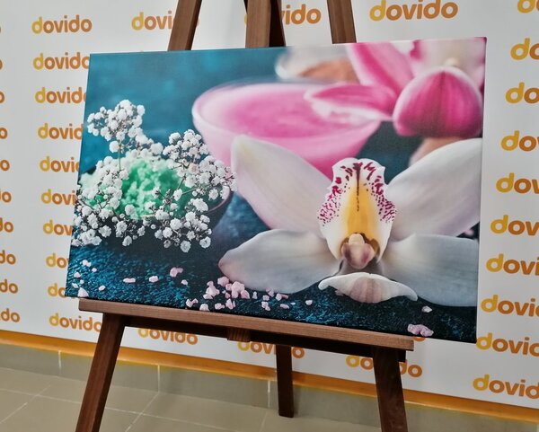 Slika divna detaljna orhideja