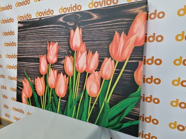 Slika divni narančasti tulipani na drvenoj podlozi