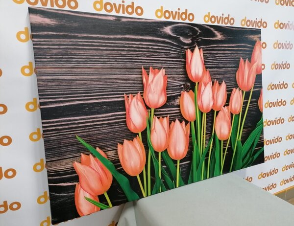 Slika divni narančasti tulipani na drvenoj podlozi