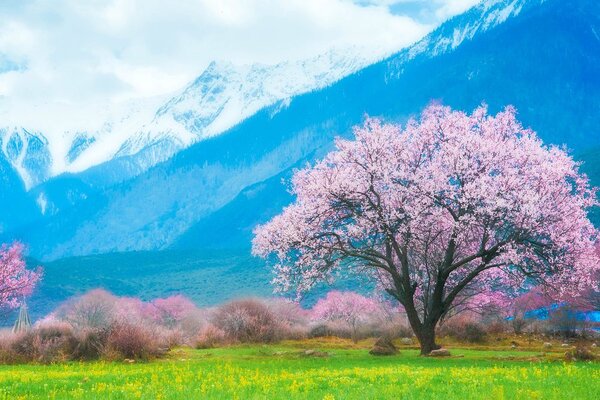 Slika čarobno staklo usred planina