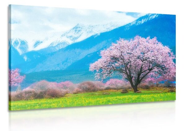 Slika čarobno staklo usred planina
