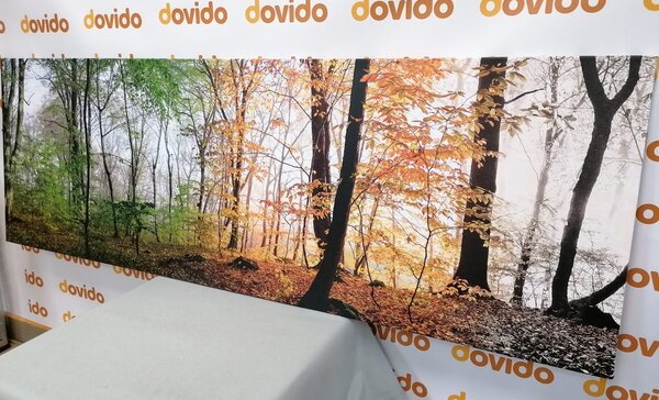 Slika četiri godišnja doba