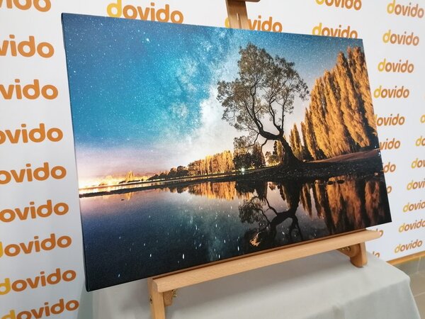 Slika stablo ispod zvjezdanog neba