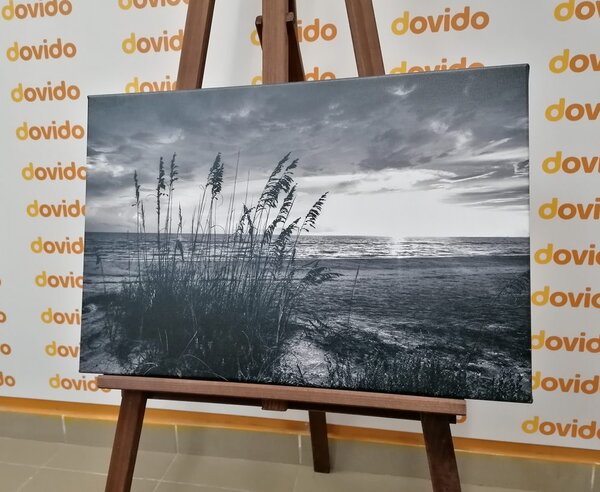 Slika zalazak sunca na plaži u crno-bijelom dizajnu