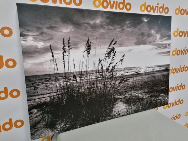 Slika zalazak sunca na plaži u crno-bijelom dizajnu