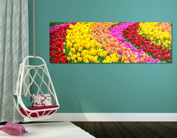 Slika tulipani jarkih boja