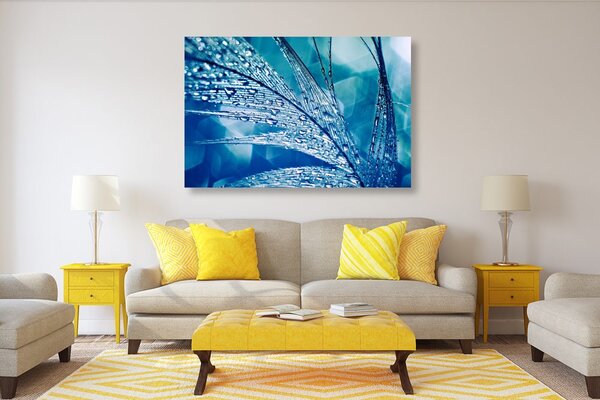 Slika kapi jutarnje rose