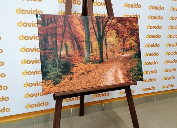 Slika šuma u jesenje doba