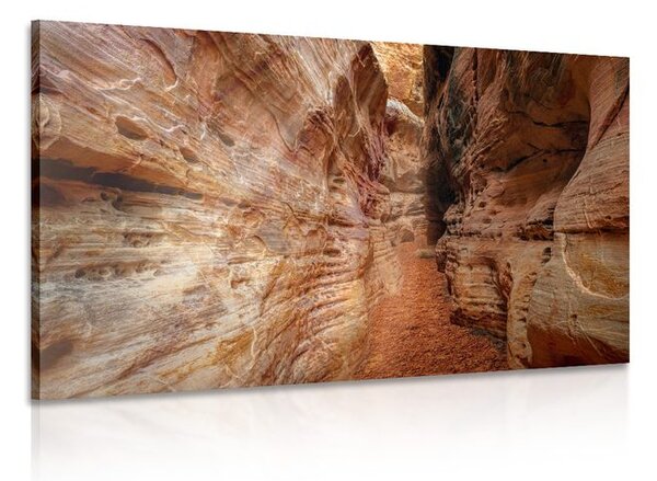Slika puteljak Grand Canyonom