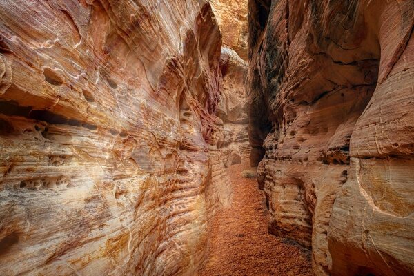 Slika puteljak Grand Canyonom