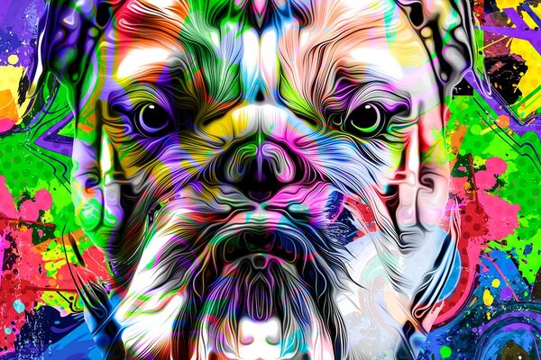 Slika pop-art buldog