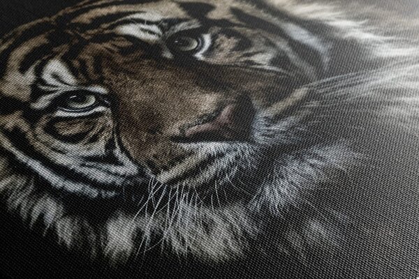 Slika tigar