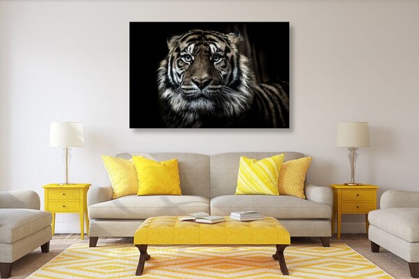 Slika tigar