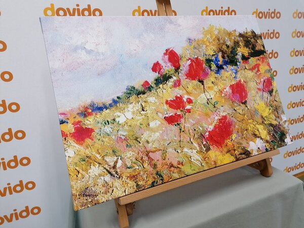 Slika nacrtani makovi na livadi
