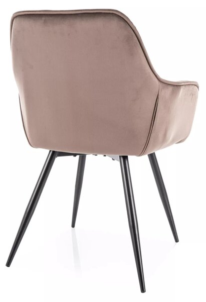 Blagovaonska stolica Chariet (crna + cappuccino)