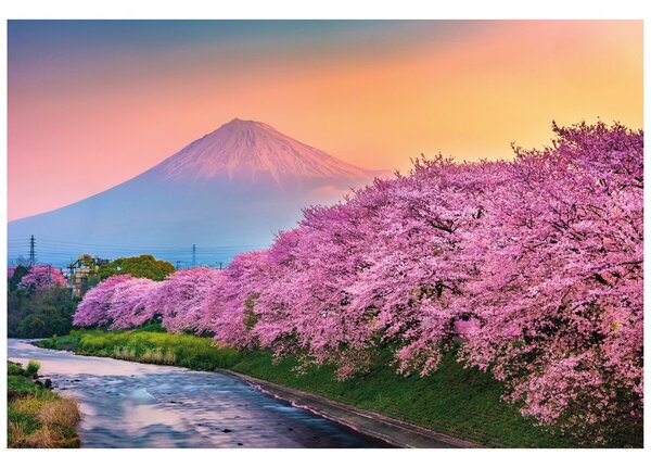 Fototapeta prekrasni Japan