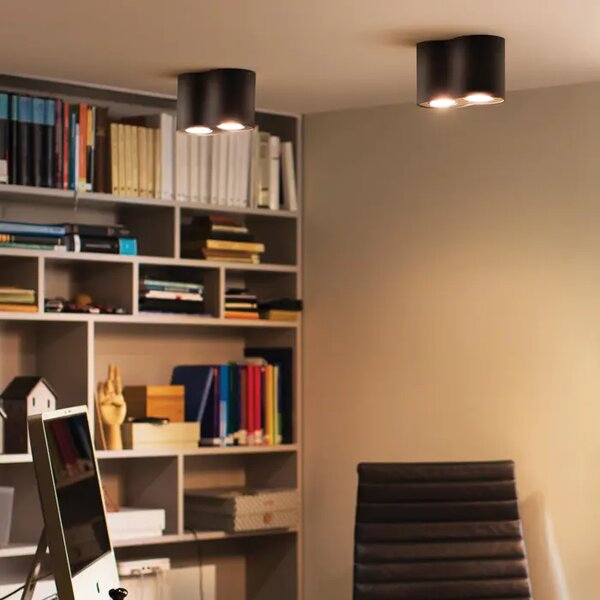 Pillar Hue STROPNA SVJETILJKA CRNA 2x5W 2200-6500K + DALJINSKI UPRAVLJAČ 8719514338425