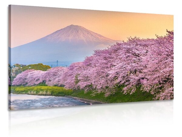 Slika japanski vulkan Fuji
