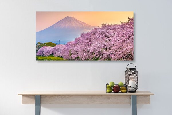 Slika prekrasni Japan