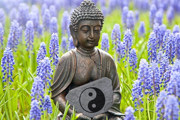 Slika jin i jang Buddha