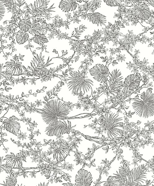 Tapeta Jardin des plantes 3 boje