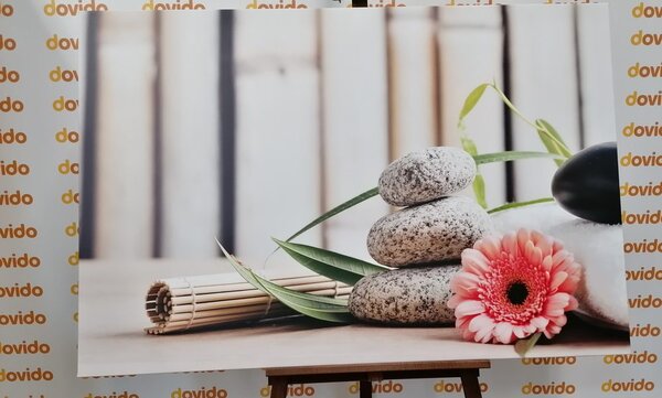 Slika meditacijska i wellness mrtva priroda