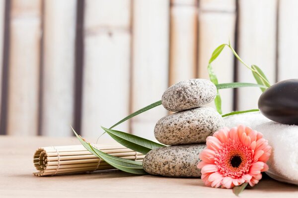 Slika meditacijska i wellness mrtva priroda