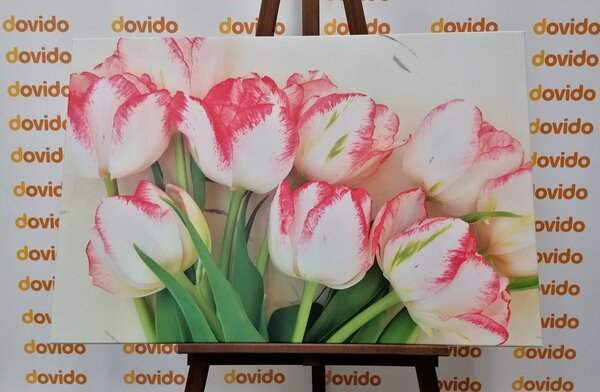 Slika proljetni tulipani