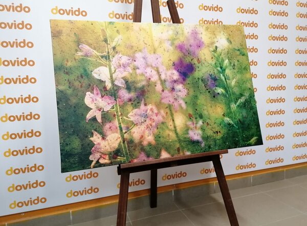 Slika akvarelni crtež planinske biljke