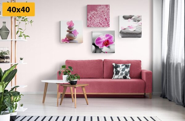 Set slika Zen - mrtva priroda